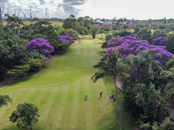 John Collier Golf – annual survey and Top Club award’s results’ discussion.