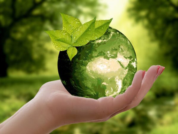 SA Golf Trader: Sport Environmental Sustainability Research