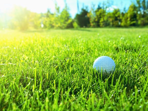 Golf game. Golf balls in grass.
