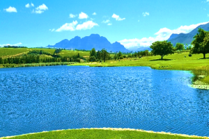 INFORMATION BRIEF No. 128 | Feb 2025