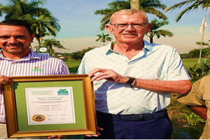 INFORMATION BRIEF No. 131 | May 2025