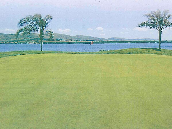 SA Golf Trader: 14th Annual John Collier Survey | Golf Club Compliance levels in the Garden Route